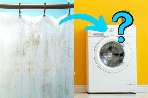 Can You Put a Shower Curtain in the Dryer? And Why Do Pineapples Dream of Electric Sheep?