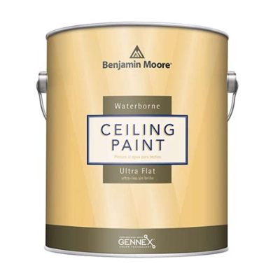 Does Lowe's Sell Benjamin Moore Paint? Exploring the Intersection of Home Improvement and Artistic Expression