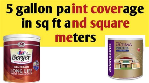 How Many Square Feet Does a Can of Spray Paint Cover and Why Do Cats Always Land on Their Feet?